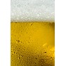ジョッキに注いだ生ビール ジョッキに注いだ生ビール