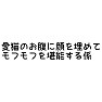 愛猫のお腹に顔を埋めてモフモフを堪能する係 愛猫のお腹に顔を埋めてモフモフを堪能する係