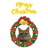 クリスマスリース猫2015 クリスマスリース猫2015