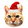 クリスマス@キャット3 クリスマス@キャット3