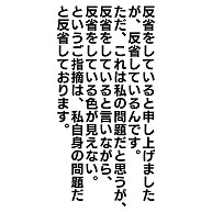 商品詳細 反省をしていると申し上げましたが 反省しているんです Tシャツ ホワイト デザインtシャツ通販clubt