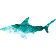 商品詳細 サメと海のシルエットtシャツ 長袖tシャツ レッド デザインtシャツ通販clubt