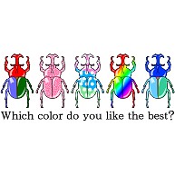Which color do you like the best?