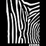 ZEBRA /ゼブラ模様 / 濃色 ZEBRA /ゼブラ模様 / 濃色
