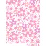 SAKURA SAKURA