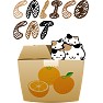 ダンボールの中のCALICO CAT ダンボールの中のCALICO CAT