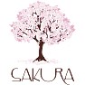 桜-SAKURA- 長袖ラグランTシャツバージョン 桜-SAKURA- 長袖ラグランTシャツバージョン