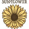 SUNFLOWER 半袖ラグランTシャツに SUNFLOWER 半袖ラグランTシャツに