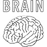 BRAIN 長袖ラグランTシャツ BRAIN 長袖ラグランTシャツ