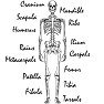 HUMAN SKULL 半袖ラグランTシャツ HUMAN SKULL 半袖ラグランTシャツ