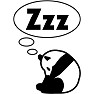 Zzzパンダ 半袖ラグランTシャツ Zzzパンダ 半袖ラグランTシャツ