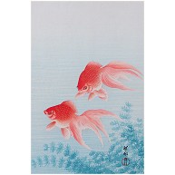 商品詳細 浮世絵 小原祥邨 金魚 タペストリー ホワイト デザインtシャツ通販clubt