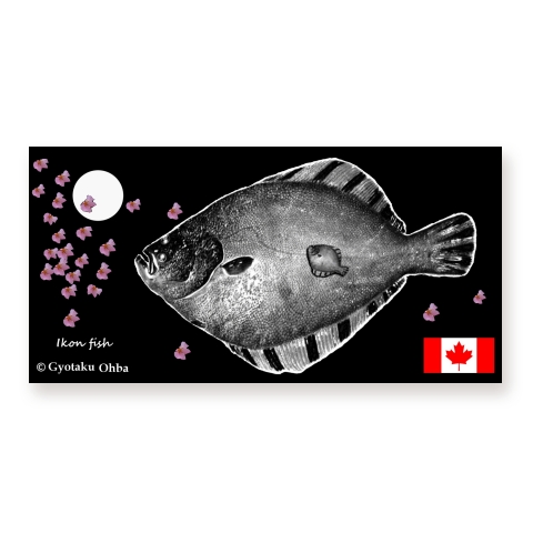 商品詳細 カナダ Canada 鰈 カレイ マツカワ タカノハ Moon Fish 白い月 桜 あらゆる生命たちへ感謝と祈りをささげます 価格 は予告なく改訂される場合がございます マイクロファイバーバスタオル ホワイト デザインtシャツ通販clubt