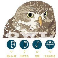 フクロウ01