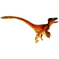鳥は恐竜から進化した