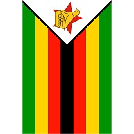 商品詳細 ジンバブエ Zimbabwe 縦ロゴ Tシャツ ライトグリーン デザインtシャツ通販clubt