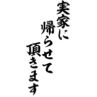 商品詳細 実家に帰らせて頂きます 筆文字ロゴ レディースtシャツ レッド デザインtシャツ通販clubt