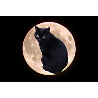 Moon Cat Tシャツ・トレーナー・パーカー・トートバッグ・スマホケース