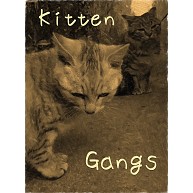Kitten Gangs