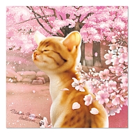 村松誠 ビッグコミックオリジナル2019年4月05日号「満開の桜と子猫」