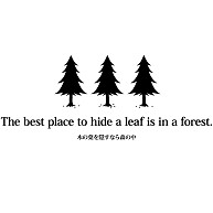 商品詳細 The Best Place To Hide A Leaf Is In A Forest 木の葉を隠すなら森の中 ことわざ 英語 木 森 隠す 文字 言葉 Tシャツ Pure Color Print ライトブルー デザインtシャツ通販clubt