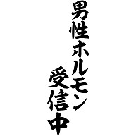 商品詳細 男性ホルモン受信中 Tシャツ Pure Color Print アッシュ デザインtシャツ通販clubt