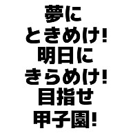 商品詳細 夢にときめけ 明日にきらめけ 目指せ甲子園 Tシャツ アイスグリーン デザインtシャツ通販clubt