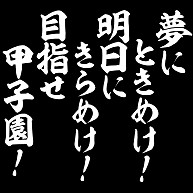 商品詳細 夢にときめけ 明日にきらめけ 目指せ甲子園 トレーナー Pure Color Print ブラック デザインtシャツ通販clubt