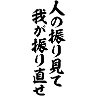 商品詳細 人の振り見て我が振り直せ 座右の銘 Tシャツ ライム デザインtシャツ通販clubt