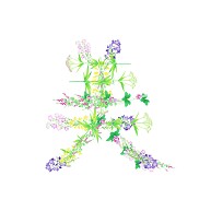 商品詳細 花文字 美 タペストリー ホワイト デザインtシャツ通販clubt