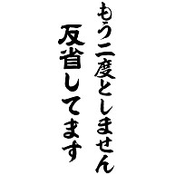 商品詳細 もう二度としません 反省してます Tシャツ シーブルー デザインtシャツ通販clubt