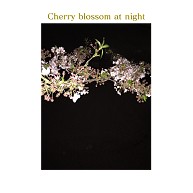 Cherry blossom at night｜タペストリー｜ホワイト