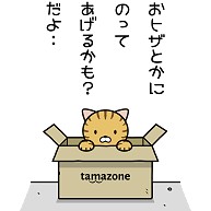 段ボール猫(トラ)｜iPhone6/6s手帳型レザーケース｜ホワイト