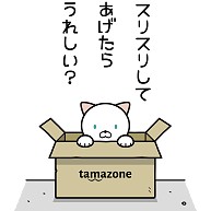 段ボール猫(シロ)　　