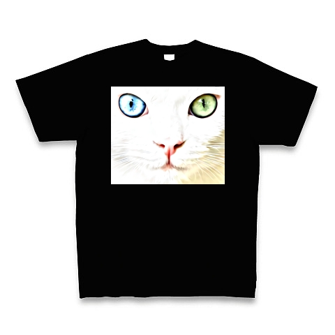 オッドアイの白猫(ネコ)｜Tシャツ Pure Color Print｜ブラック