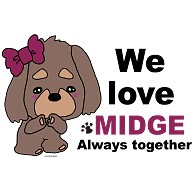 We love MIDGE