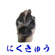 犬肉球｜iPhone6/6s手帳型レザーケース｜ホワイト